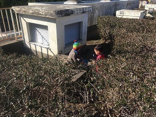 2017-01-24 10.53.29.jpg