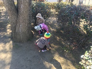 2017-01-24 11.16.21 HDR.jpg