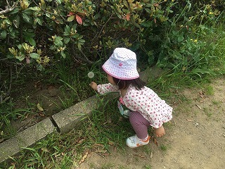 2017-04-28 10.41.54.jpg